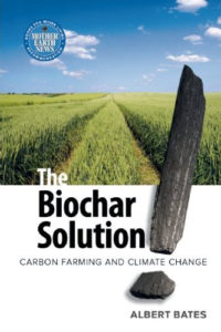 the biochar solution